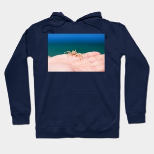 Little crab on human hand against blue sky and green ocean Hoodie